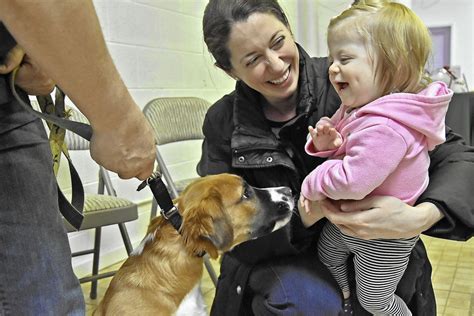 Oak park animal care league - After initial worries about how it was going to be impacted by the global outbreak of COVID-19, Animal Care League in Oak Park has seen a dramatic increase …